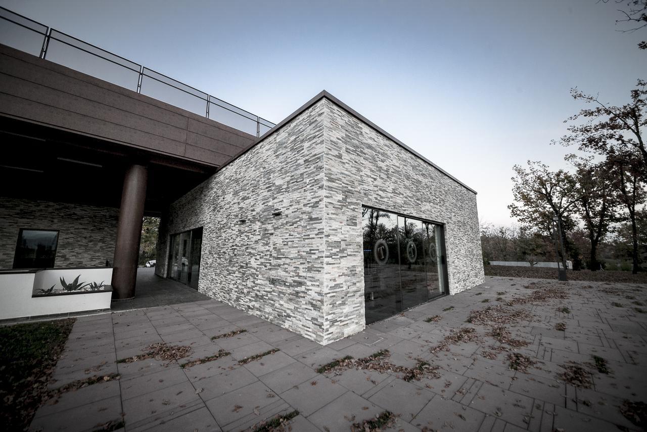Vila Palazzo Tronconi Arce Exteriér fotografie
